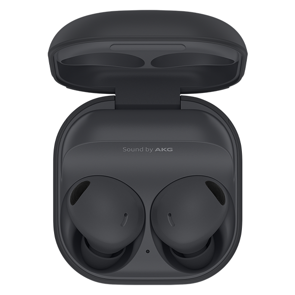 Galaxy Buds2 Pro Gray
                        image number 0